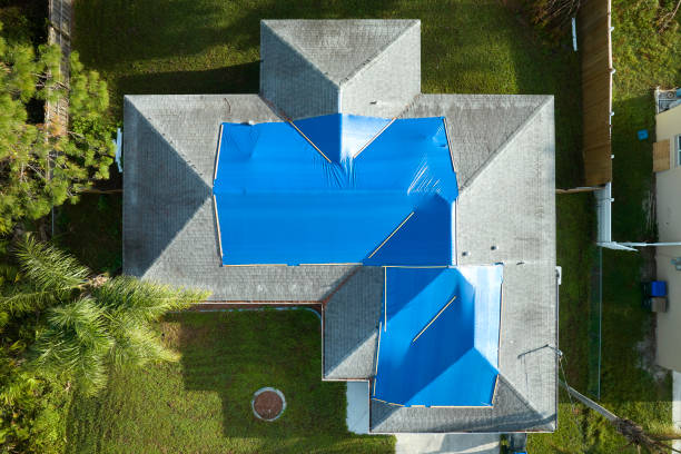 Best Green or Eco-Friendly Roofing Solutions  in Omao, HI