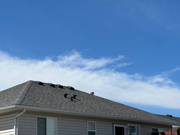 Best Steel Roofing  in Omao, HI